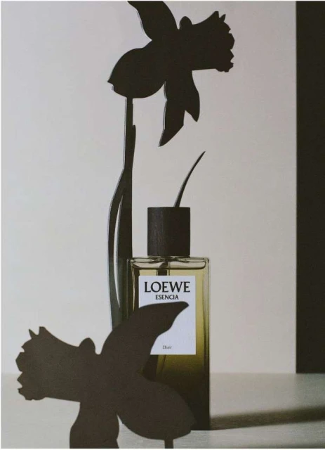 Loewe Esencia perfume bottle, featuring a transparent glass container with a black cap, standing against a neutral-toned background.