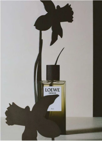 Loewe Esencia perfume bottle, featuring a transparent glass container with a black cap, standing against a neutral-toned background.
