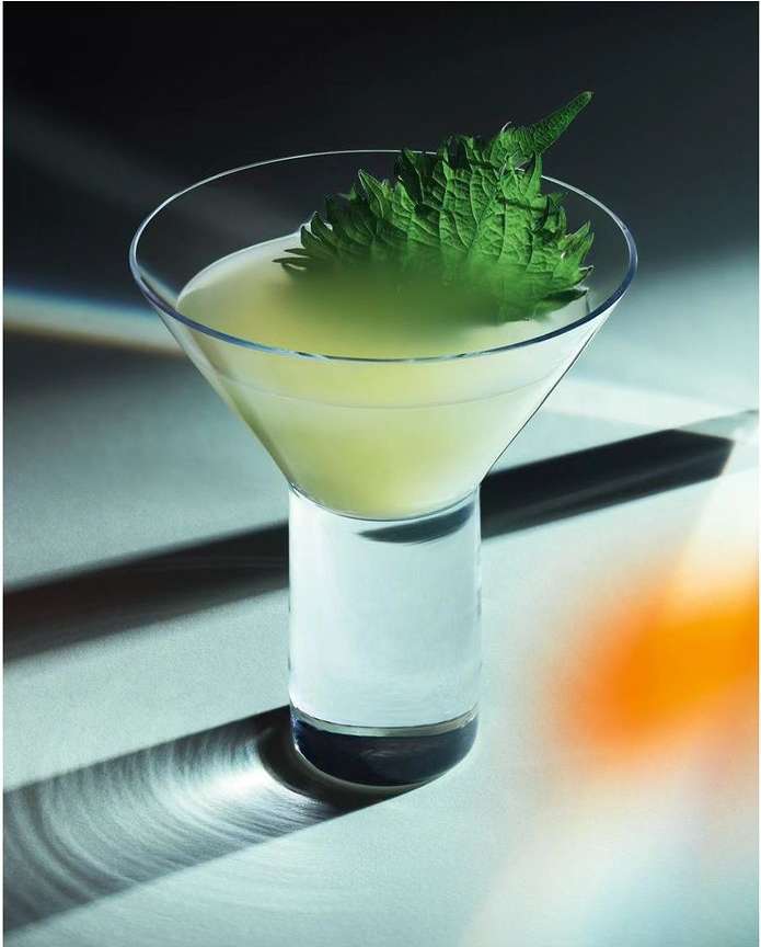 Cocktail in a clear glass garnished with a large green leaf sits on a reflective surface with shadows and a blurred background.