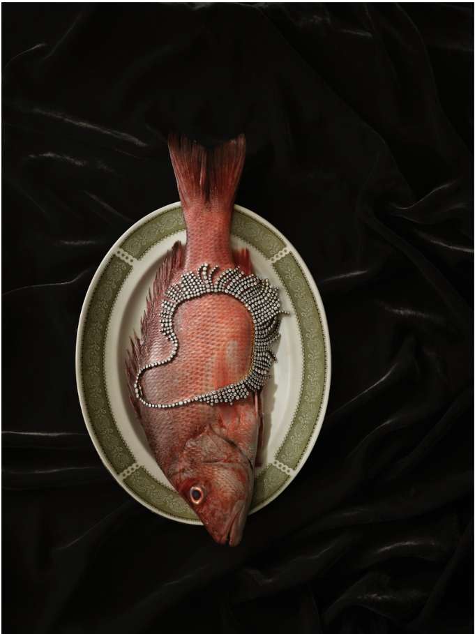 Still life featuring a red snapper fish adorned with a sparkling jeweled necklace on an off-white plate, set against a black velvet background.