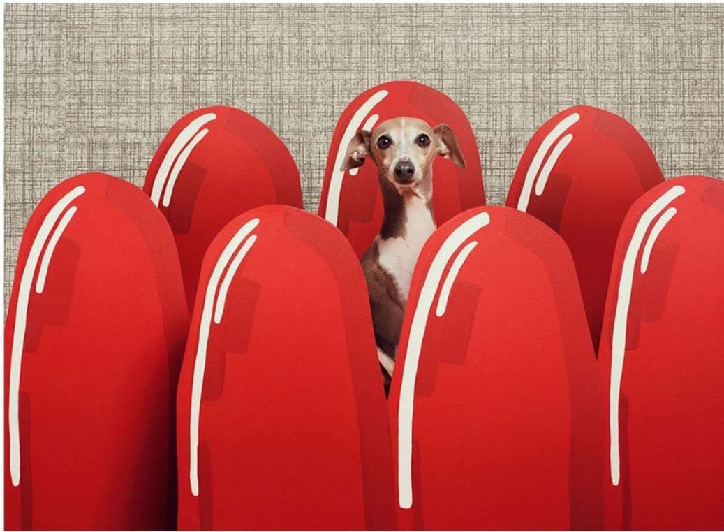 A dog with a tan and white coat stands nestled among several large, rounded, red shapes, against a textured, neutral background.