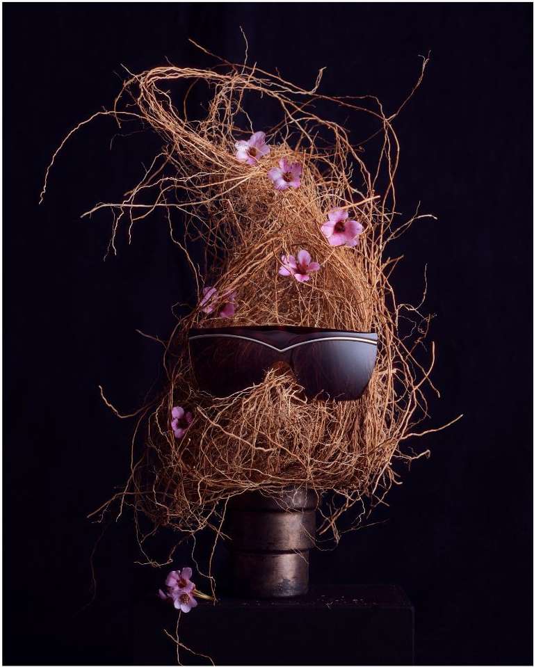 Still life composition featuring sunglasses balanced on a metallic pot, surrounded by twigs, foliage and delicate pink flowers against black.
