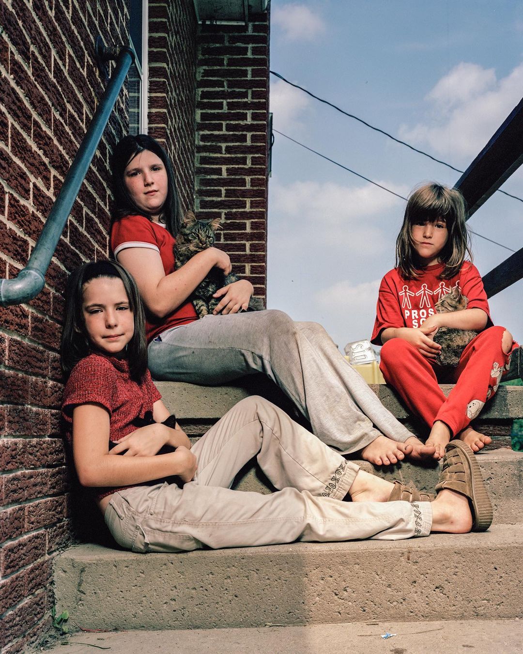 Three girls and two cats sit on concrete steps outside. The girls wear red shirts, while the cats have tabby markings.