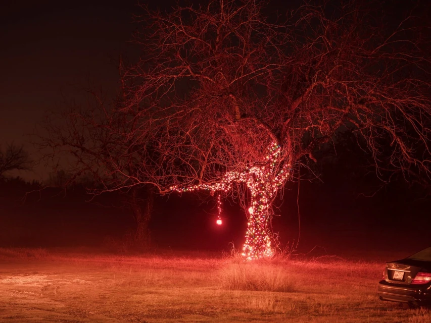 Bare tree illuminated with red Christmas lights in a dark outdoor setting, with a car parked to the side, creating a festive, slightly eerie ambiance.