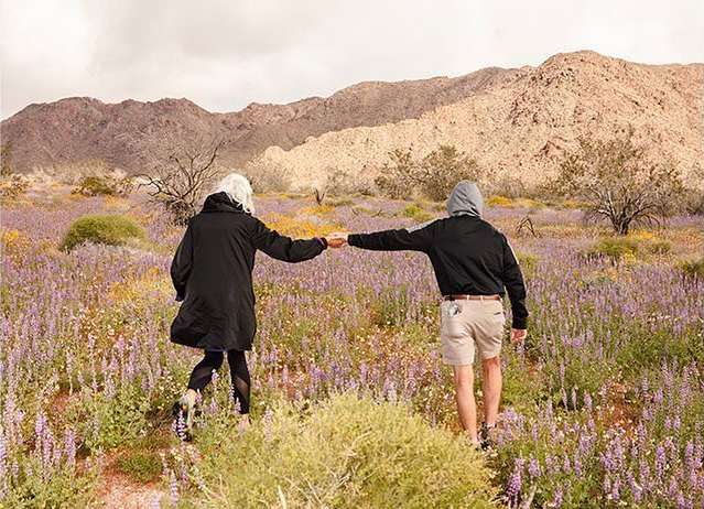 Two people holding hands in a field of purple flowers with desert mountains in the background, wearing casual clothing and enjoying the outdoors.