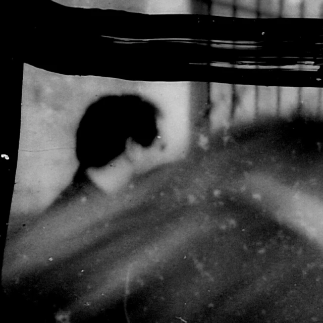 Monochrome photograph featuring a silhouetted human profile and shoulders against a mottled, textured background with a dark border.