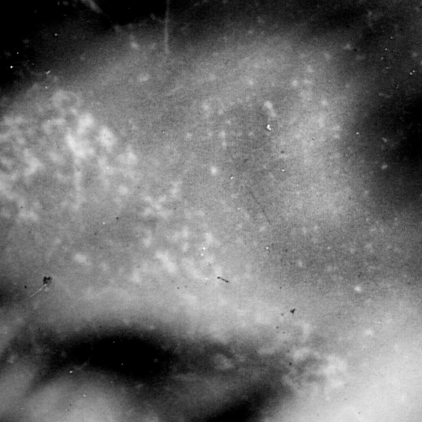 Monochrome abstract image featuring diffused white and gray clouds forming an indistinct pattern across the textured surface.