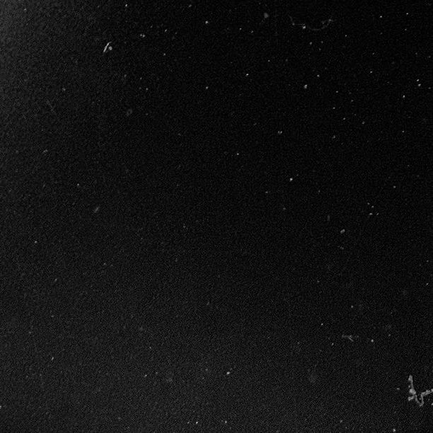Monochrome background with textured black surface. Abstract, minimalist image with dust particles and scratches.