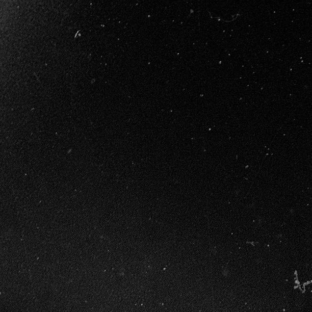 Monochrome background with textured black surface. Abstract, minimalist image with dust particles and scratches.