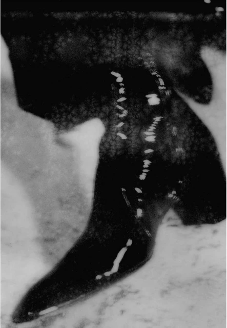 High-contrast, close-up black and white photograph of an object with a pointed end, showing the texture and reflective highlights on the surface.