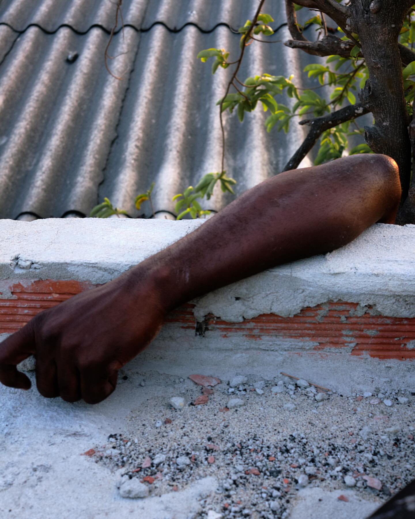 An arm extends over a brick wall with a corrugated roof and green leaves in the background, showcasing texture and a partial view.