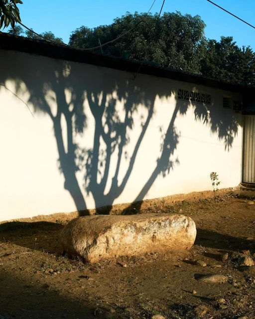 A large rock sits on the ground near a white wall with a tree's shadow cast upon it, bathed in natural light during the daytime.