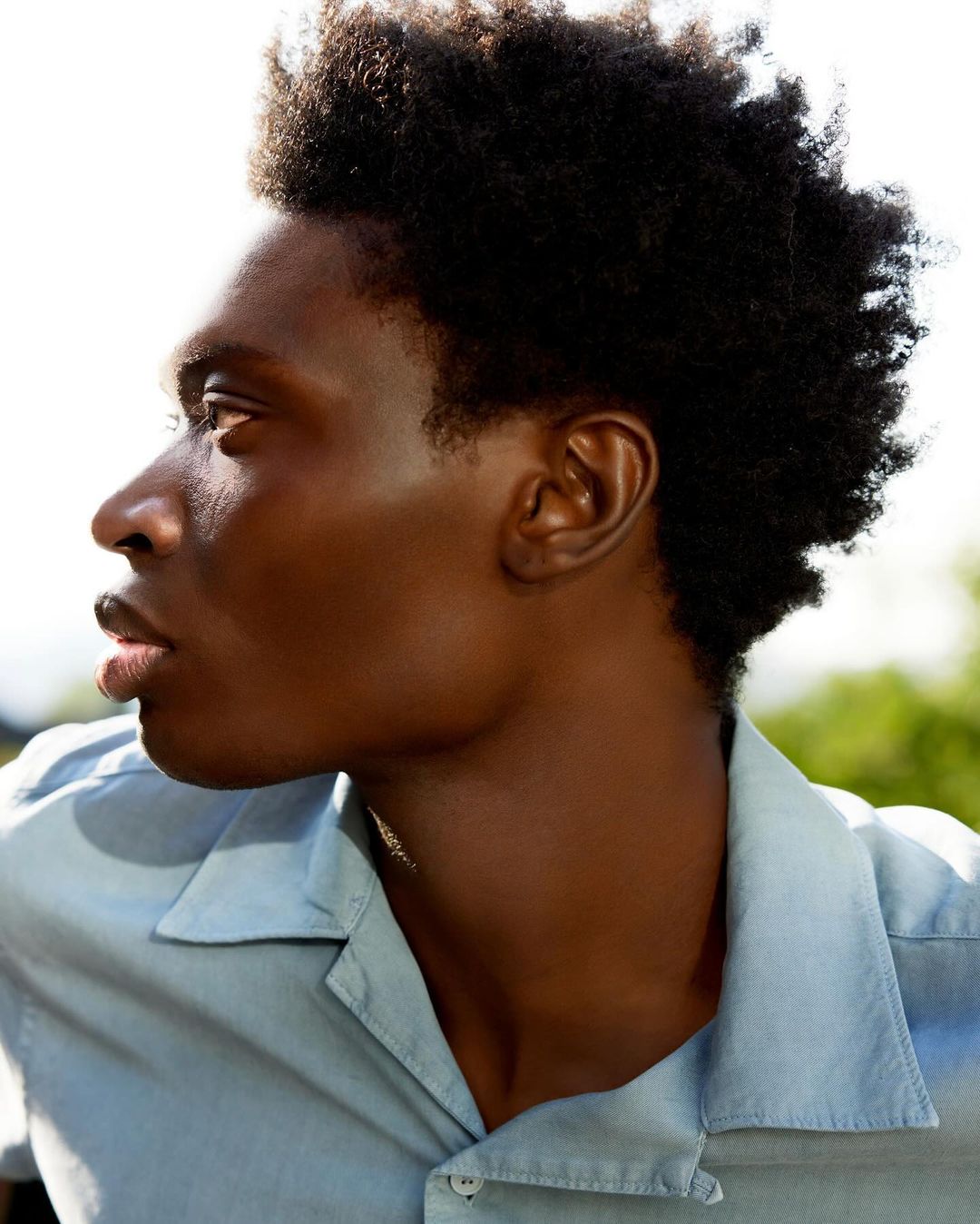 Profile portrait of a young Black man with an afro in a button-down shirt, looking to the side, bathed in natural light.
