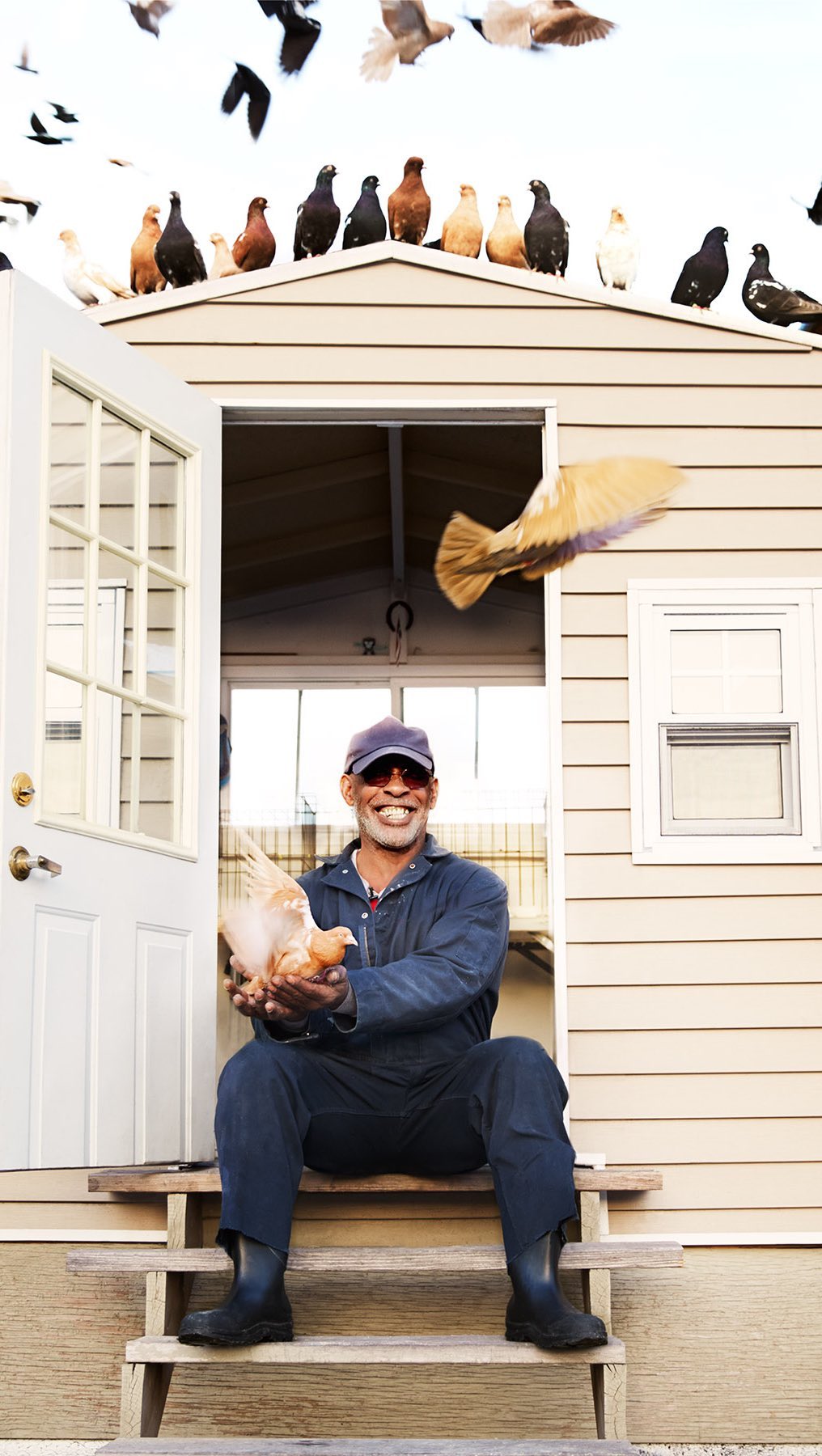 An adult male smiles while holding a pigeon in his hands, sitting on steps outside a house with many pigeons perched on the roof.