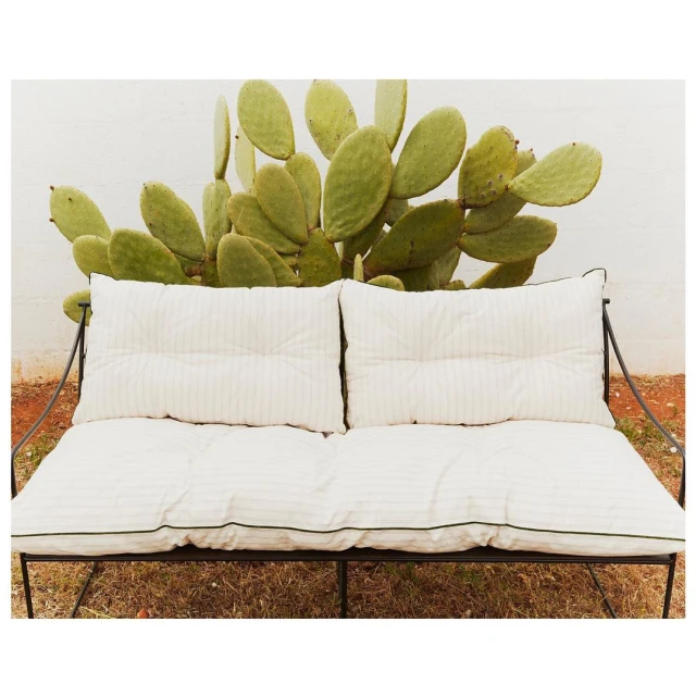 Outdoor seating on a black metal bench with white cushions, set against a backdrop of a white wall and a large prickly pear cactus.