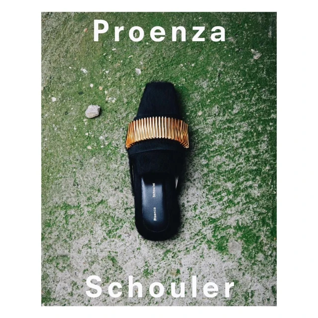 Black mule shoe with a gold band on a green concrete surface. Fashionable women's footwear from Proenza Schouler.