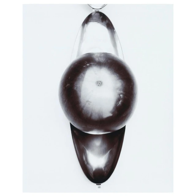 Abstract studio photography of a reflective, brown sphere atop an oval-shaped base against a plain white backdrop, captured in black and white.