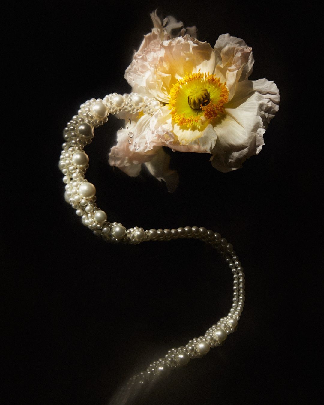 Elegant still life shot of a pale yellow flower paired with an ornate pearl necklace against a stark black backdrop, artful and eye-catching.