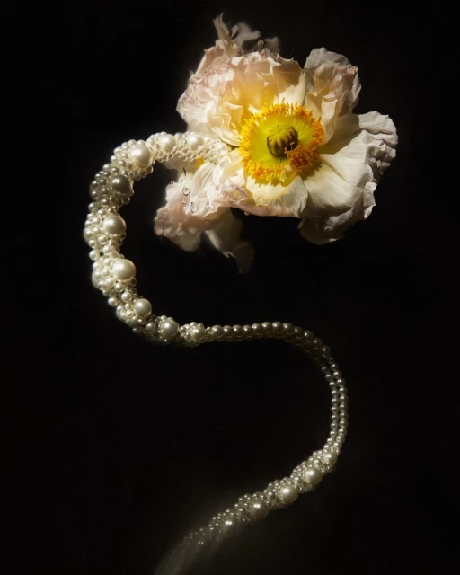 Elegant still life shot of a pale yellow flower paired with an ornate pearl necklace against a stark black backdrop, artful and eye-catching.
