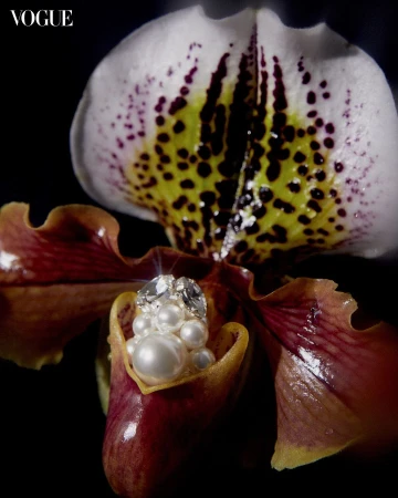 Close-up photo of an orchid blossom featuring pearl and diamond jewellery nestled in the petals, set against a dark background.