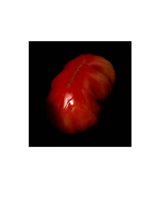 Close-up studio shot of a single heirloom tomato with red, orange, and green hues against a dark black background and diffused lighting.