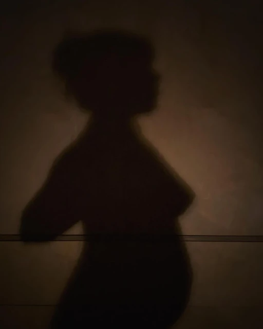 Striking silhouette of an adult female figure against a textured dark background with subtle light gradients, showcasing form and shadow.