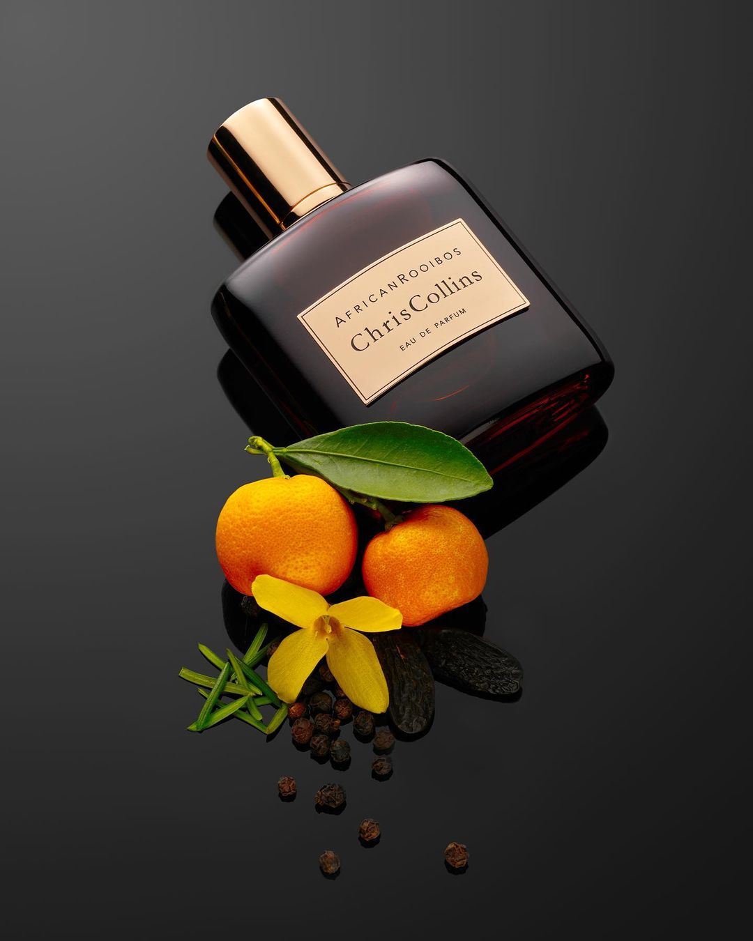 Studio shot of Chris Collins African Rooibos Eau de Parfum with tangerines, yellow flower, and spices against a black background.