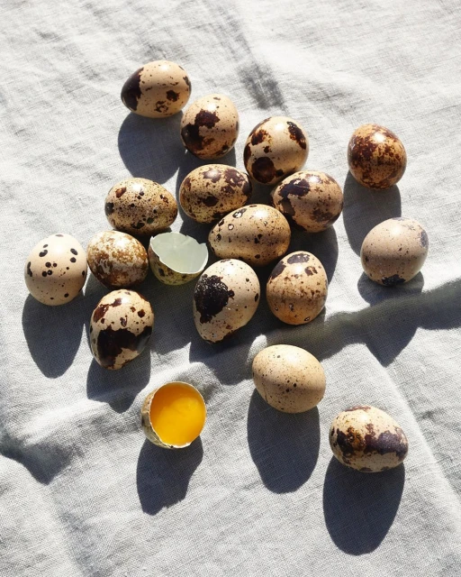 Overhead shot showcasing a group of quail eggs, some whole and some cracked open, arranged on a light green textured cloth surface.