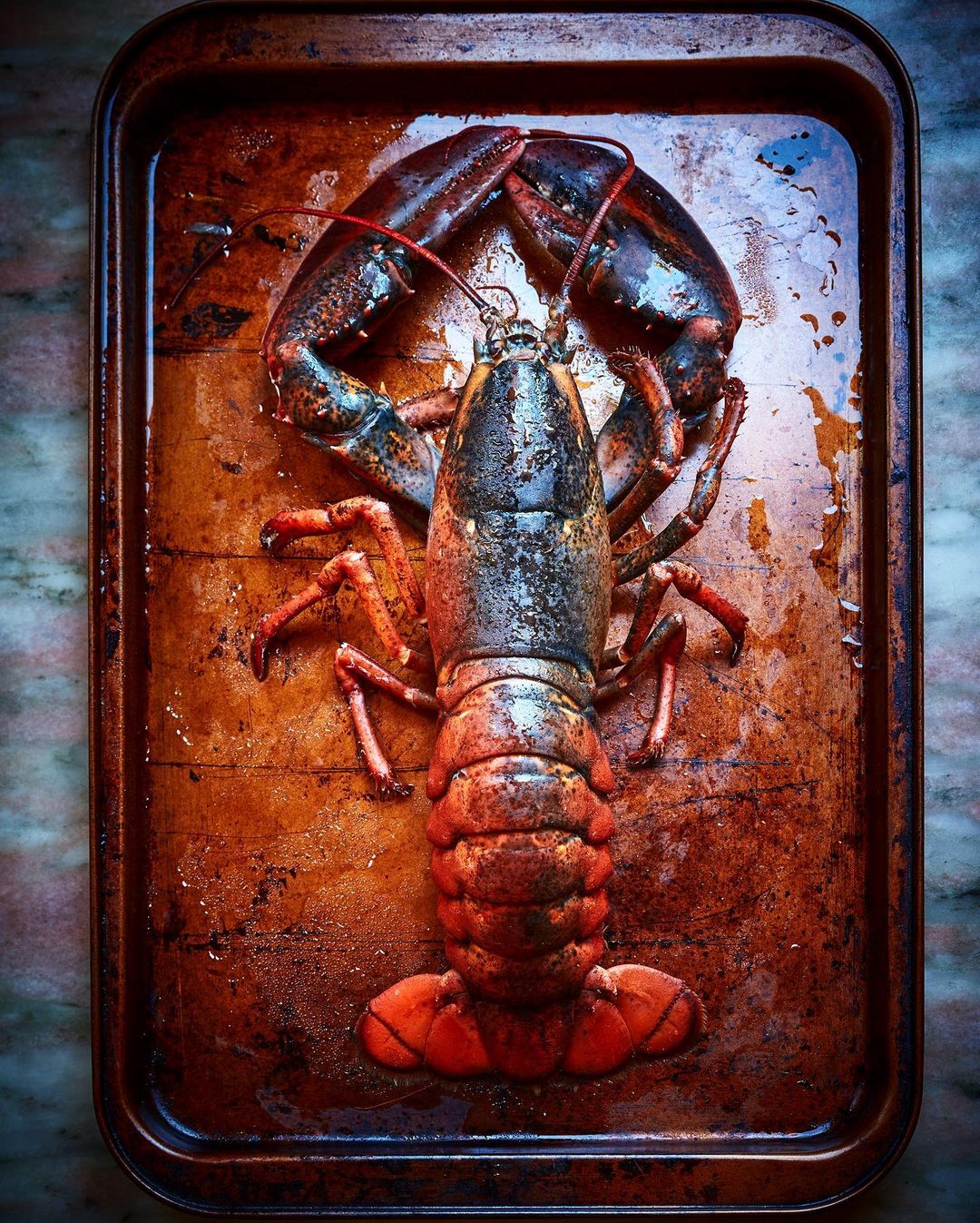 Overhead shot of a cooked lobster on a dark metal baking sheet with a distressed finish, in warm hues of red and brown.