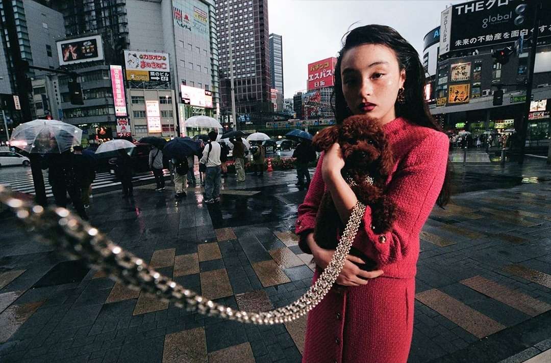A fashionable woman in a pink skirt suit poses with a brown poodle on a leash in a wet city intersection with pedestrians.
