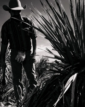Man wearing a cowboy hat and striped shirt standing beside a large spiky desert plant in black and white