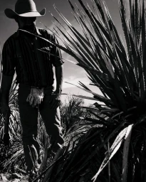 Man wearing a cowboy hat and striped shirt standing beside a large spiky desert plant in black and white