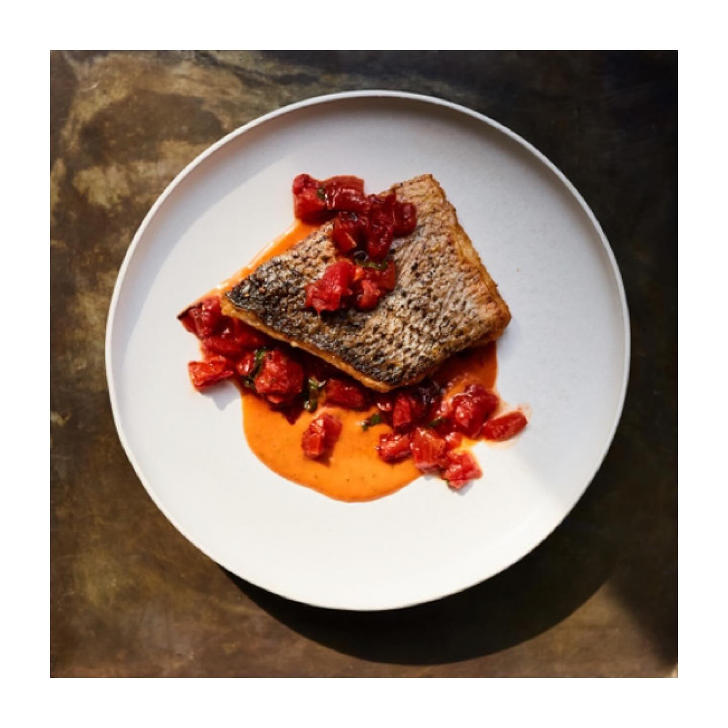 Overhead shot of a piece of cooked fish topped with diced tomatoes and herbs, served on a white plate with sauce.