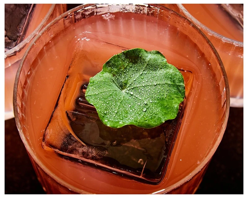 A close-up shot of a cocktail in a glass, garnished with a green leaf and a large ice cube, highlighting its refreshing appearance.