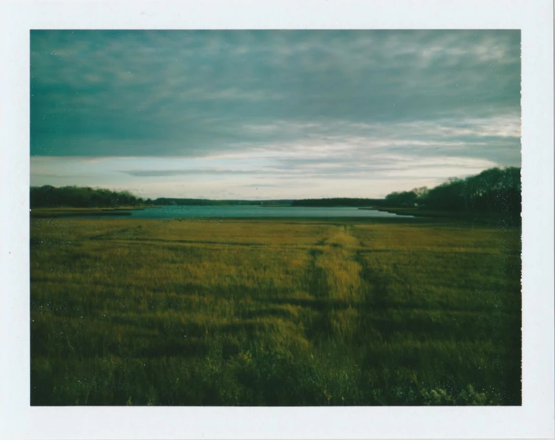 Scenic view of a marshland landscape with green grasses leading to a tranquil body of water under a partly cloudy sky.