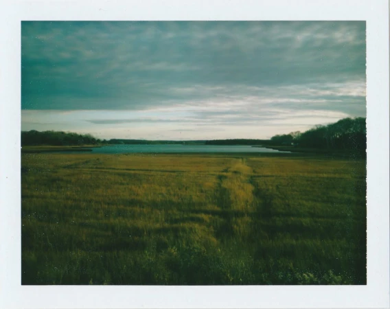 Scenic view of a marshland landscape with green grasses leading to a tranquil body of water under a partly cloudy sky.