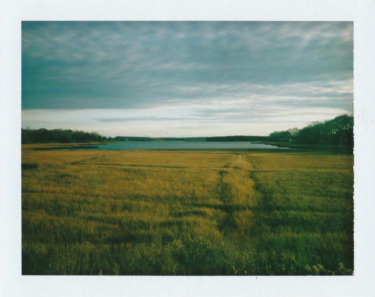 Scenic landscape photo of a marsh with tall grass and a body of water, with a moody sky above. Nature and outdoor scenery.