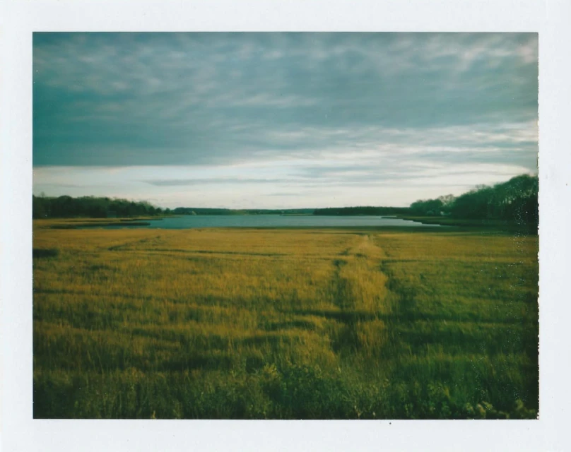 Scenic landscape photo of a marsh with tall grass and a body of water, with a moody sky above. Nature and outdoor scenery.