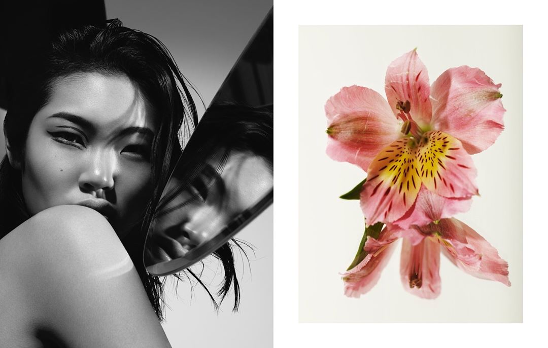Monochrome portrait of Asian woman with a mirror reflecting her face, juxtaposed with a pink orchid bloom against a white backdrop.