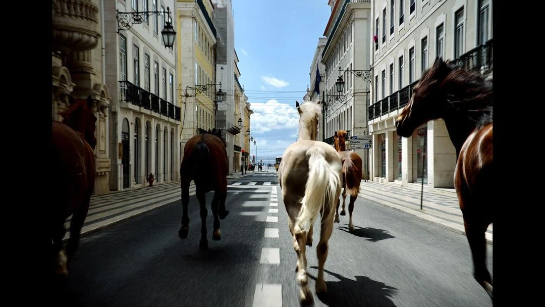 Horses running on city street lined with buildings under a blue sky. Horses are brown and white. Pedestrians visible in background.