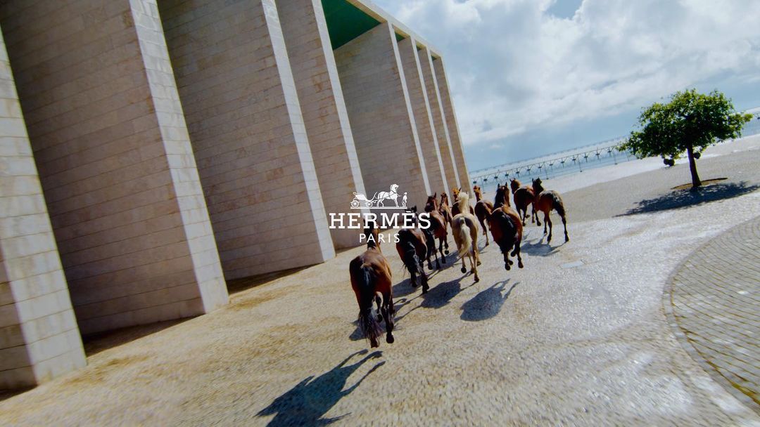 A herd of horses runs along a paved road near a modern building and a body of water under a cloudy sky, Hermes logo visible.