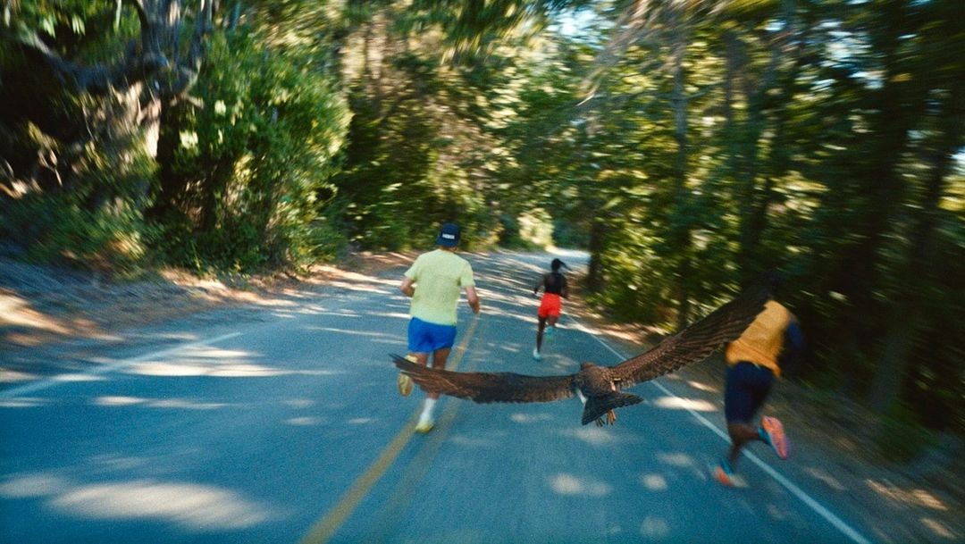 Multiple runners and a low-flying bird race down an asphalt road lined with dense trees, captured with motion blur.