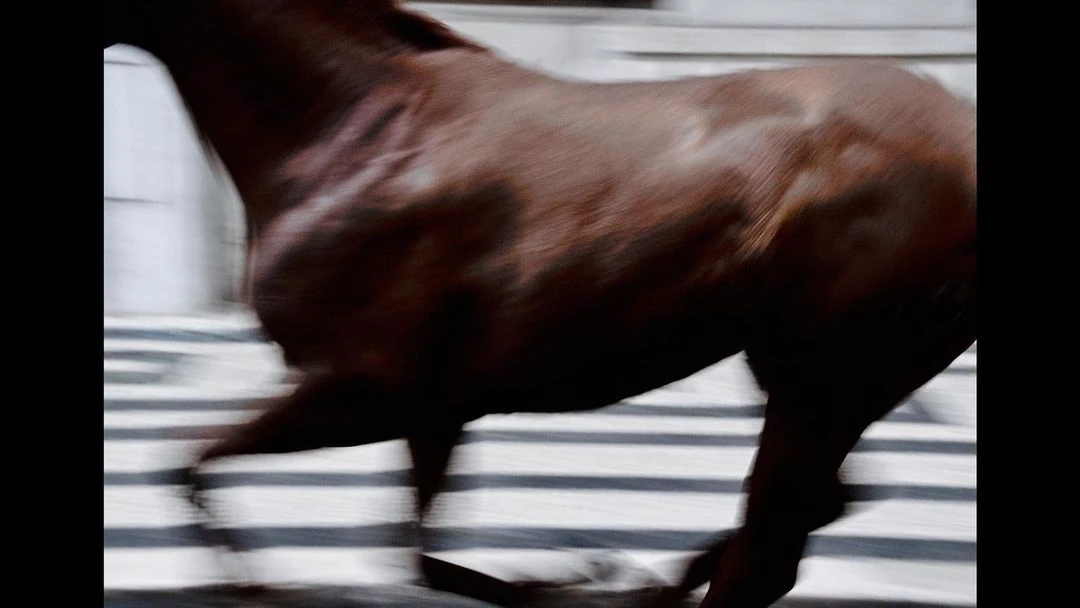 Motion blur of a dark brown horse galloping indoors, showcasing its powerful musculature and dynamic movement with a focus on speed.