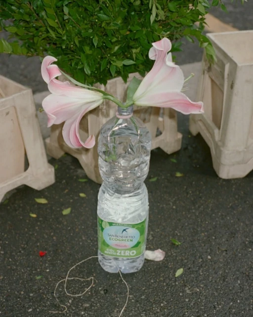 Still life of pink lilies in a plastic water bottle on asphalt, showcasing a simple yet elegant flower arrangement outdoors.