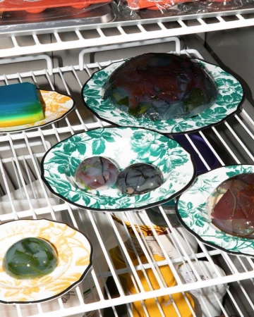 Assorted colorful gelatins in dome shapes on floral plates sit on white refrigerator shelving, viewed in bright, diffused light.