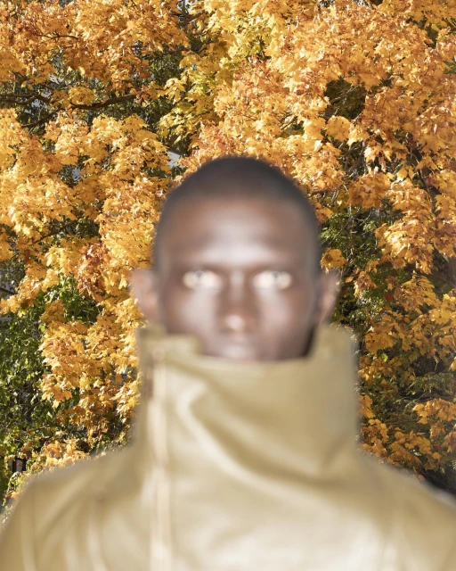 Blurred portrait of an African-American adult male in front of a tree with golden leaves in natural light, focus on the foliage.