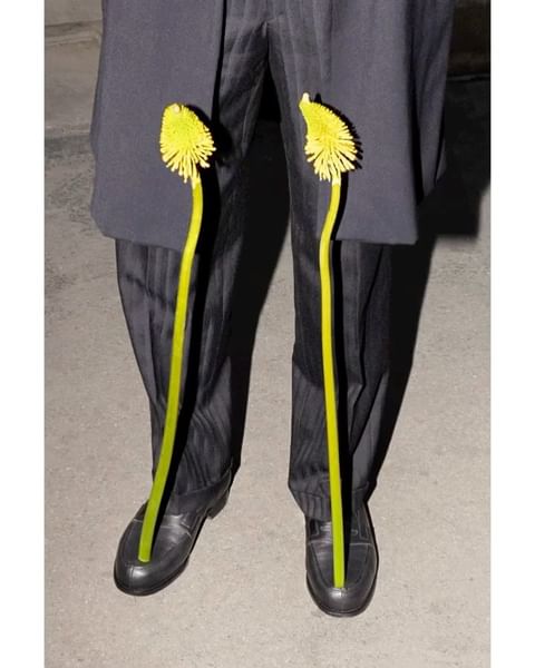 A person wears black dress pants and black shoes with yellow flowers placed between the pants and the shoes, creating an unusual floral design.