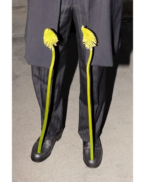 A person wears black dress pants and black shoes with yellow flowers placed between the pants and the shoes, creating an unusual floral design.