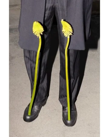 A person wears black dress pants and black shoes with yellow flowers placed between the pants and the shoes, creating an unusual floral design.