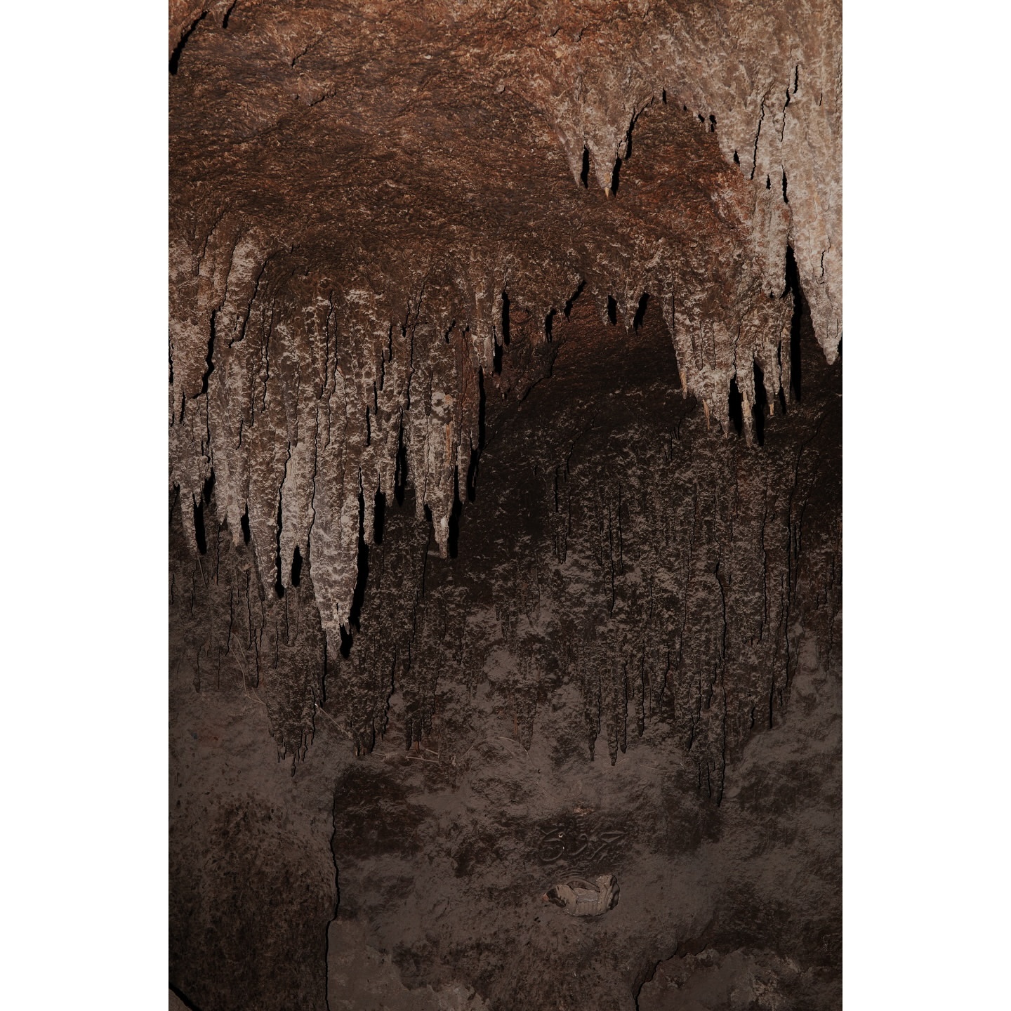Stalactites hanging from the ceiling of a dark cave, illuminated by dim light creating a mysterious atmosphere underground.